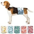 thumbnail image 2 of Pañales lavables fisiológicos ajustables para Perros, ropa interior de seguridad, bragas reutilizables para Perros pequeños y medianos, 2 of 4