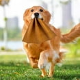 thumbnail image 4 of Dog Training Rag for Interactive Play and Prey Drive Development High Toughness Leather Tug Toy for Large Breed Puppies, 4 of 4