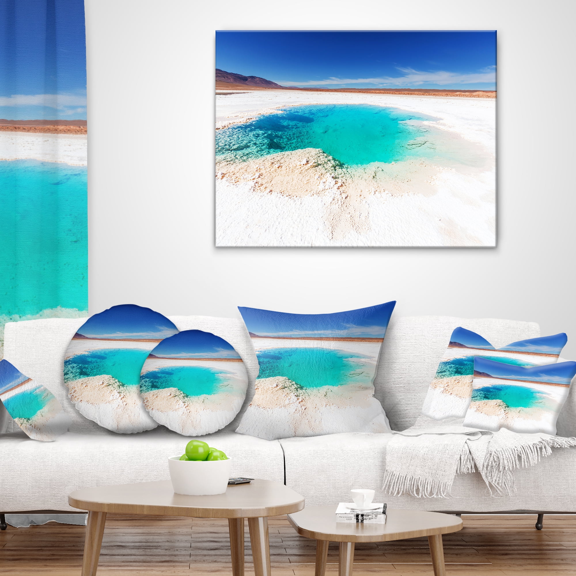 Designart Beautiful Salinas Lake in Argentina - Landscape Printed Throw Pillow - 16x16