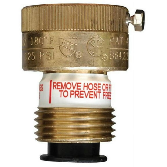 Cash Acme 19600-0000 Self Draining Vacuum Breaker with Locking Screw