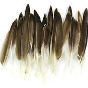 MIDWEST DESIGN IMPORTS Duck Wing Quill Feathers 22/Pkg-Natural