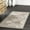 Taupe, variant on nuLOOM Becca Traditional Tiled Charcoal 4' x 6' Transitional Area Rug