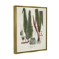 thumbnail image 4 of Stupell Industries Fern Latin Study Botanical & Floral Painting Gold Floater Framed Canvas Art Print Wall Art, 25 x 31, 4 of 10