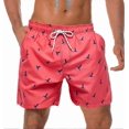 thumbnail image 1 of Dissolving Swim Trunks Prank Bachelor Beach For Your Bro Lose His Swim Shorts In The Swimming Pool (get It), 1 of 1