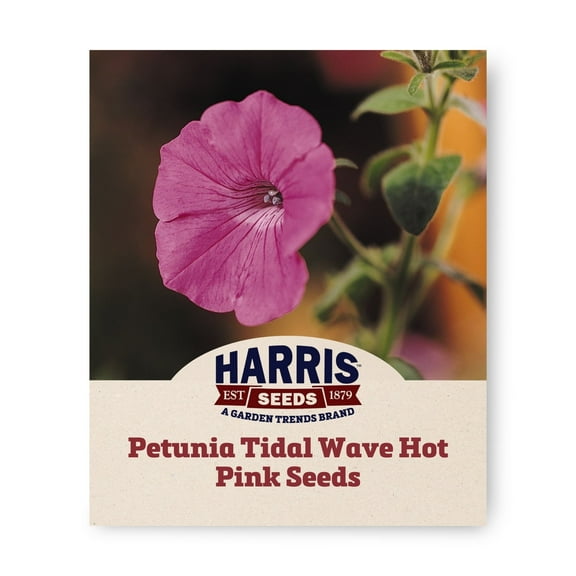 Harris Seeds 25 Petunia Tidal Wave Hot Pink F1 Plant Seeds