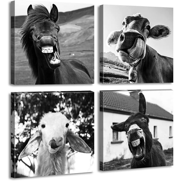 Black and White Wall Art Animal Wall Decor Horse Donkey Sheep Cow Canvas Pictures  Prints Funny Decor Posters for Mens Bedroom Office Farmhouse Decoration  Stretched Framed Ready to Hang 12×12 inch×4 -