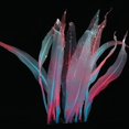 thumbnail image 1 of Decoración de paisaje de acuario de silicona simulación coral kelp, 1 of 5