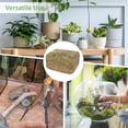 thumbnail image 3 of DIY Filamentous Moss, 2.2 lbs Dried Moss with Realistic Texture, Decorative Landscaping Material for Planting, Terrariums, Vivariums, and Garden Decoration, 3 of 6