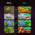 thumbnail image 3 of Lámpara hortícola de espectro completo Lámpara de crecimiento de plantas de interior para Ind, 3 of 3