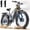 GRAY-3000W Dual battery, variant on Electric Bike for Adults 26'', 1500W E-Mountain Bike 48V 20Ah UL2849 Removable Battery,Fat Tire Ebike up to 30MPH Off Road Beach Snow Electric Bicycles Full Suspension & Dual Hydraulic Disc Brakes