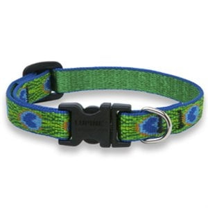Dog Collar, Adjustable, Tail Feather, 1/2 x 8 to 12-In. -32634