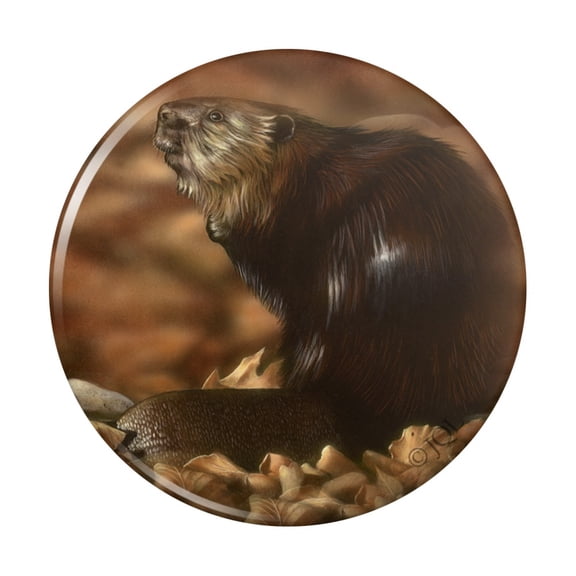 Beaver by the River Kitchen Refrigerator Locker Button Magnet
