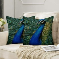Colorful Peacock Throw Pillow Covers 18x18" Set of 2, Modern Home Decor for Sofa & Living Room