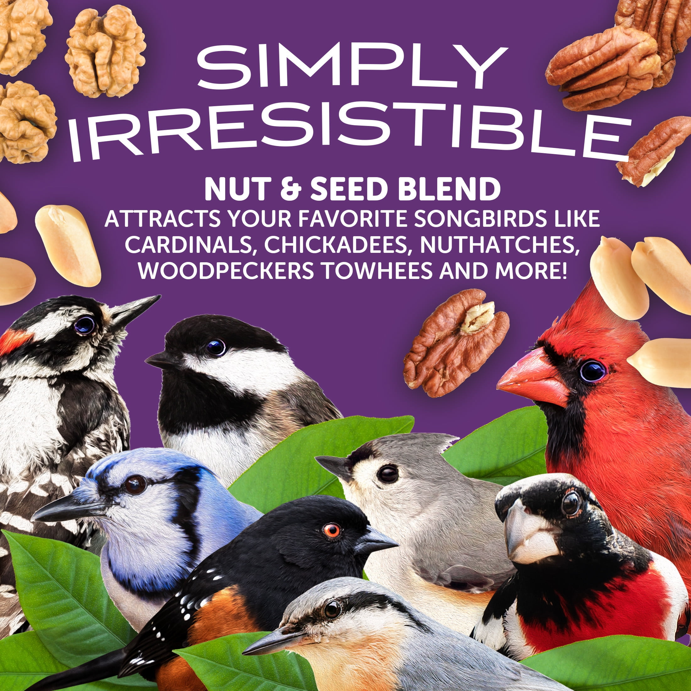 Pennington Ultra Double Nut & Fruit Blend, Wild Bird Seed and Feed, 2.5 lb. Bag, 1 Pack, Dry