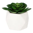 thumbnail image 1 of planta dec. blanca suculenta c, 1 of 5
