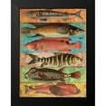 thumbnail image 2 of Grey, Jace 12x14 Black Modern Framed Museum Art Print Titled - Fish Wall Mate, 2 of 5