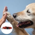 thumbnail image 3 of Collar para perros de cáñamo - Forro antialérgico súper suave. Perfecto para pequeños, 3 of 5