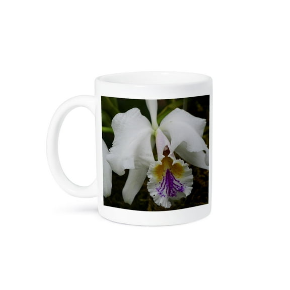 3dRose, ORCHID - II, 11oz Mug