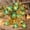 Green GN, variant on AuroraX LED Fairy String Lights Artificial Flower Garland LED Lights Indoor Waterproof Outdoor Battery Operated Home Decor String Lights Purple