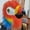 Rainbow, variant on Furry Parrot Head Mask,Realistic Parrot Mask,Hairy Macaw Bird Masks,Spoof Birds Masks Fancy Dress