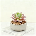 thumbnail image 3 of Lifelike Succulent In Modern Planter For Home Desk Realistic Greenery Ideal Housewarming And Event Arrangements, 3 of 4