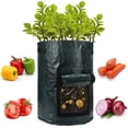 thumbnail image 2 of 2 Bolsas para Plantas - Bolsas para Plantar - para Plantar Bolsas para Plantar Patatas, Zanahorias, Tomates, Frutas, Verde Oscuro, 35*45, 2 of 4