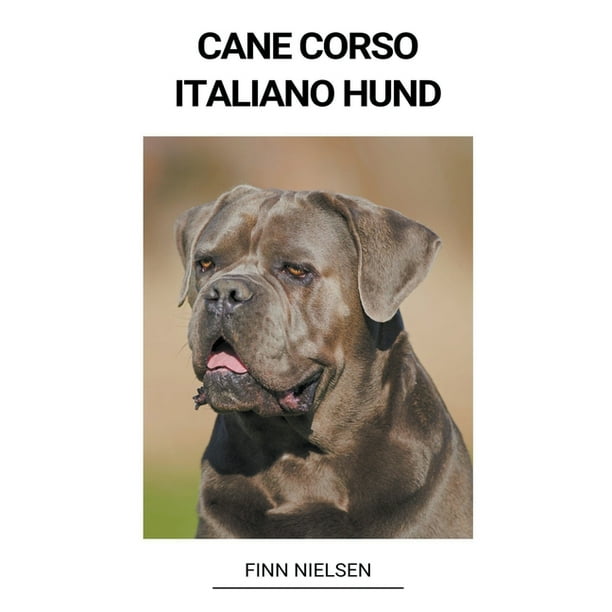 Cane Italiano Hund (Paperback) - Walmart.com