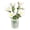 White, variant on 7Pcs Glass Mini Flower Bouquet with Vase, Hand Blown Glass Calla Lily Tulip Arrangement Tabletop Decor Pot