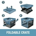 CleverMade Plastic Collapsible Milk Crate, Adult Folding Storage Bin, 6