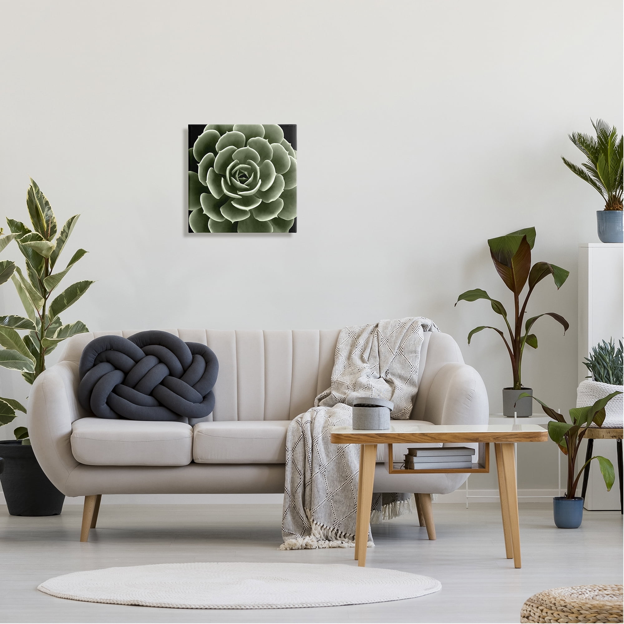 Stupell Industries Rounded Succulent Leaves Botanical Botanical & Floral Painting Gallery Wrapped Canvas Print Wall Art