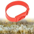 thumbnail image 4 of Sheep Identification Collar, 10Pcs PU Goat Collar Sheep Identification Bands Livestock MarkingFarming Equipment Identification Collar, 4 of 8