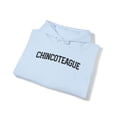 thumbnail image 4 of Chincoteague VA Virginia Moving Away Hoodie, Gifts, Hooded Sweatshirt, 4 of 4