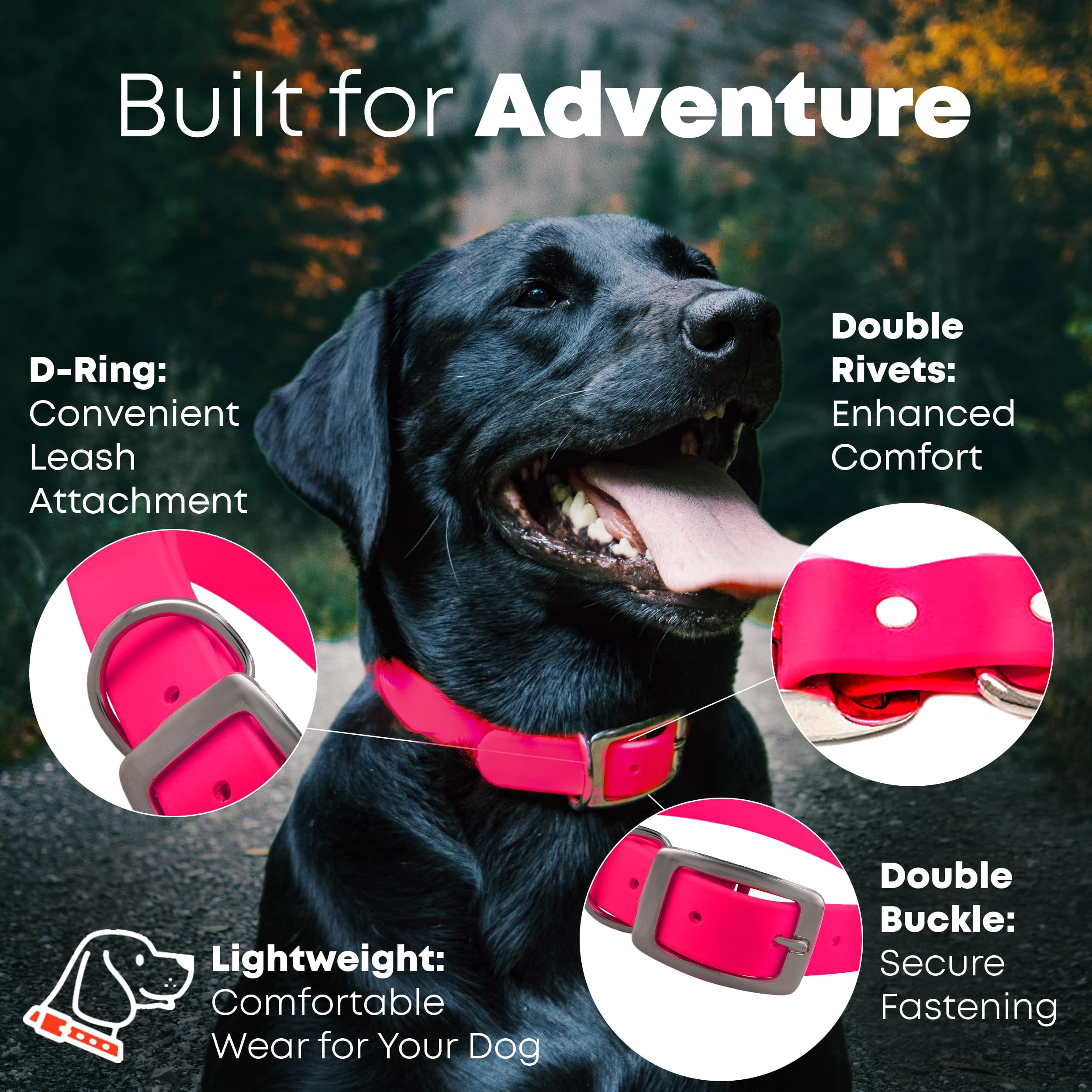 Regal Dog Products Waterproof Collar & 5ft Leash Set Heavy Duty Biothane