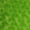 Lime, variant on Valentina Textile Inc Minky Rosebud Fabric by The Yard(1 Yard, Lime)