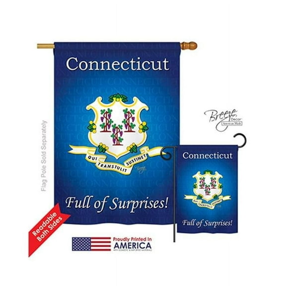 08138 States Connecticut 2-Sided Vertical Impression House Flag 28 x 40 in.