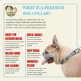 thumbnail image 3 of Country Brook Petz® Premium Sedona Stripes Dog Collar, Large, 3 of 6