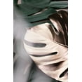 thumbnail image 2 of 1x Studio III 17x24 White Modern Wood Framed Museum Art Print Titled - Monstera Mix 03, 2 of 4