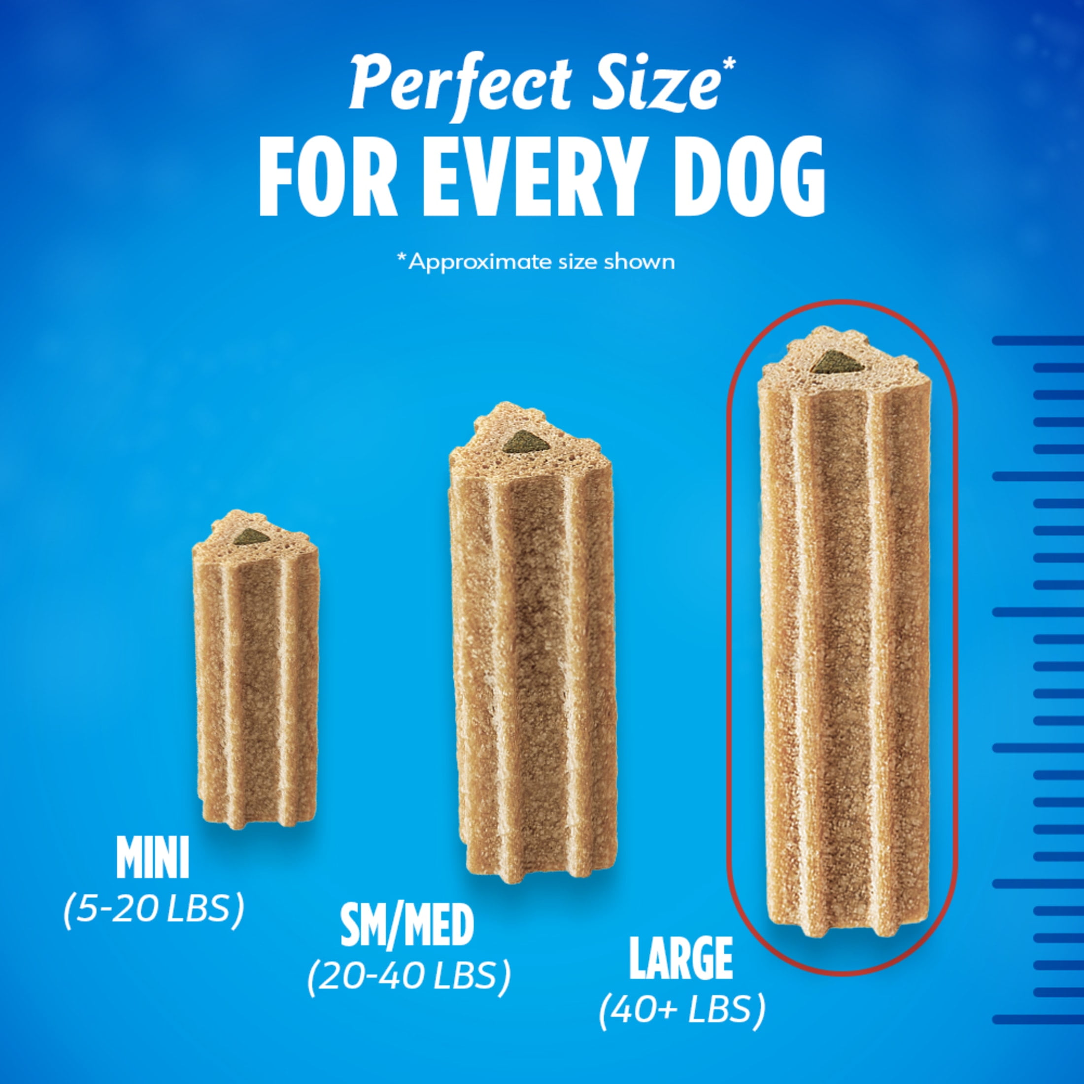 Purina DentaLife ActiveFresh Large Dog Treats Dental Chews with Chicken, 35 oz Pouch, 2 Packs (30 Count)