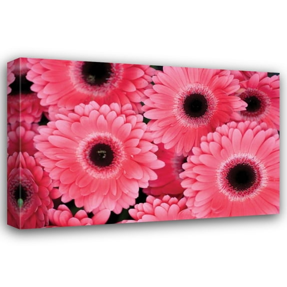 Erin Berzel 32x23 Gallery Wrapped Canvas Wall Art Titled - Pink Gerbera Daisies III