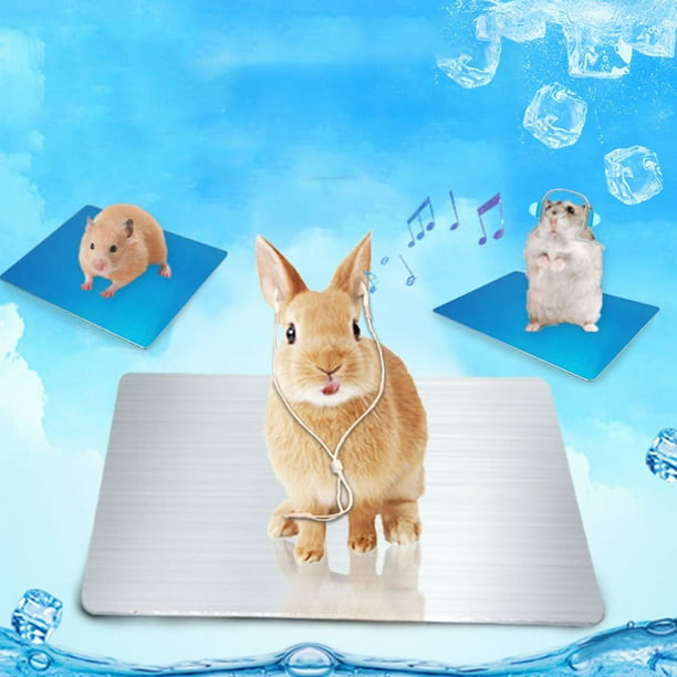 Chinchilla cooling clearance pad