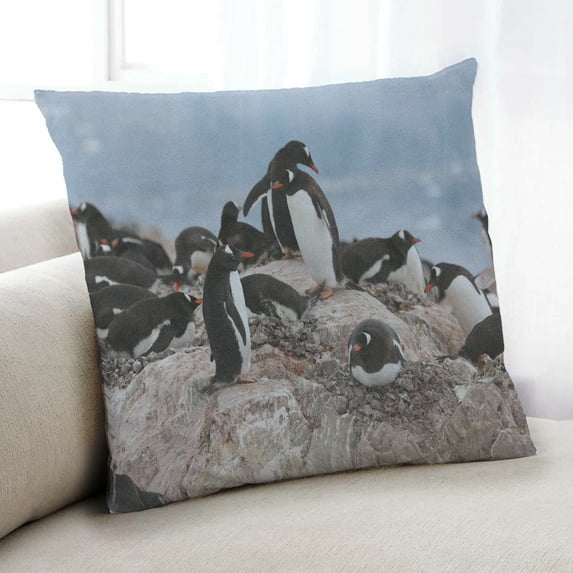 Ahgly Company Animals Penguin Indoor Throw Pillow, 18 inch by 18 inch