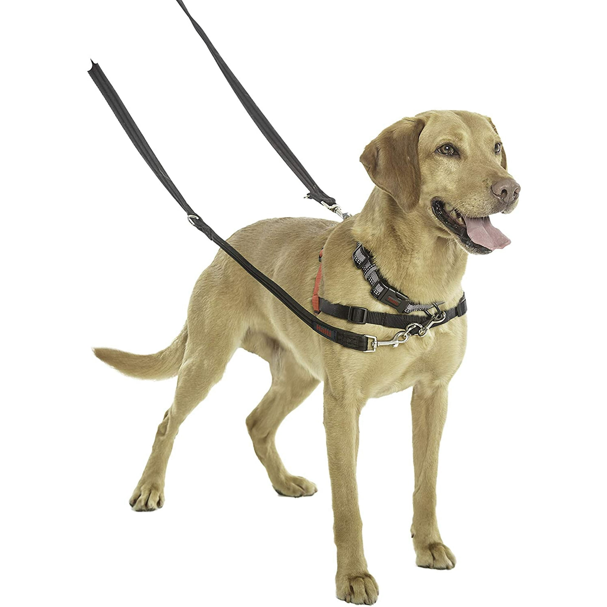 HALTI Training Lead For Dogs, Double Ended Dog Training Leash for