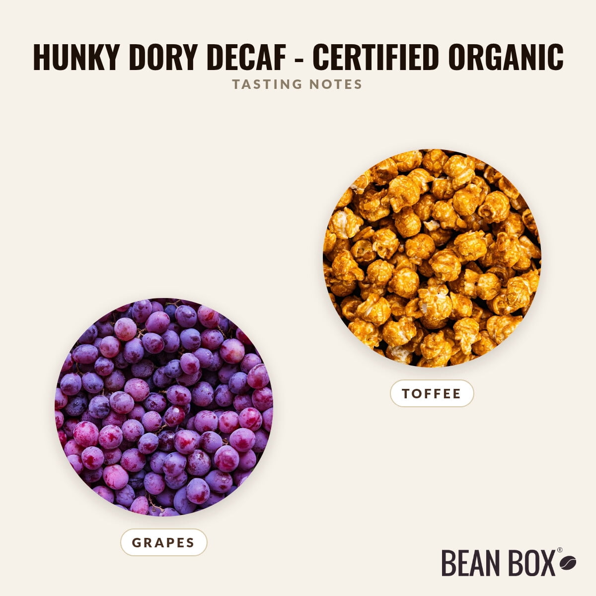 Hunky Dory Decaf - Certified Organic - Roasted by Sightglass Coffee - Whole Bean Coffee - 12oz Bag