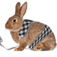 thumbnail image 2 of Miangastore 1 Set Rabbit Garment Bunny Harness Kit Rabbit Costume leash Rabbit Leash Clothes, 2 of 8