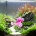 thumbnail image 1 of KAKOWELY 4Ud Artificial Para Acuario Con De Mar Fluorescente De Silicona Y, 1 of 8