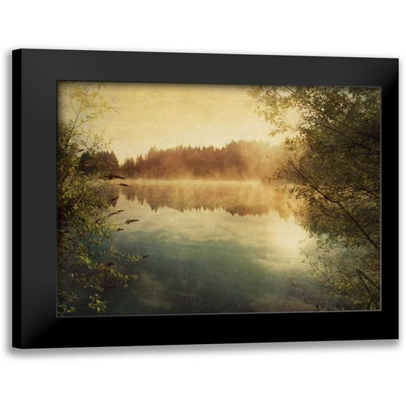 Melious, Amy 14x12 Black Modern Framed Museum Art Print Titled - Sunset II