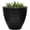 Tuxedo, variant on 14" BRZ Dunbar Planter