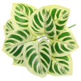 thumbnail image 4 of Bangcool Artificial Leaves Stems Realistic Fake Plant Faux Leaf Branch for Home Decor, 4 of 6