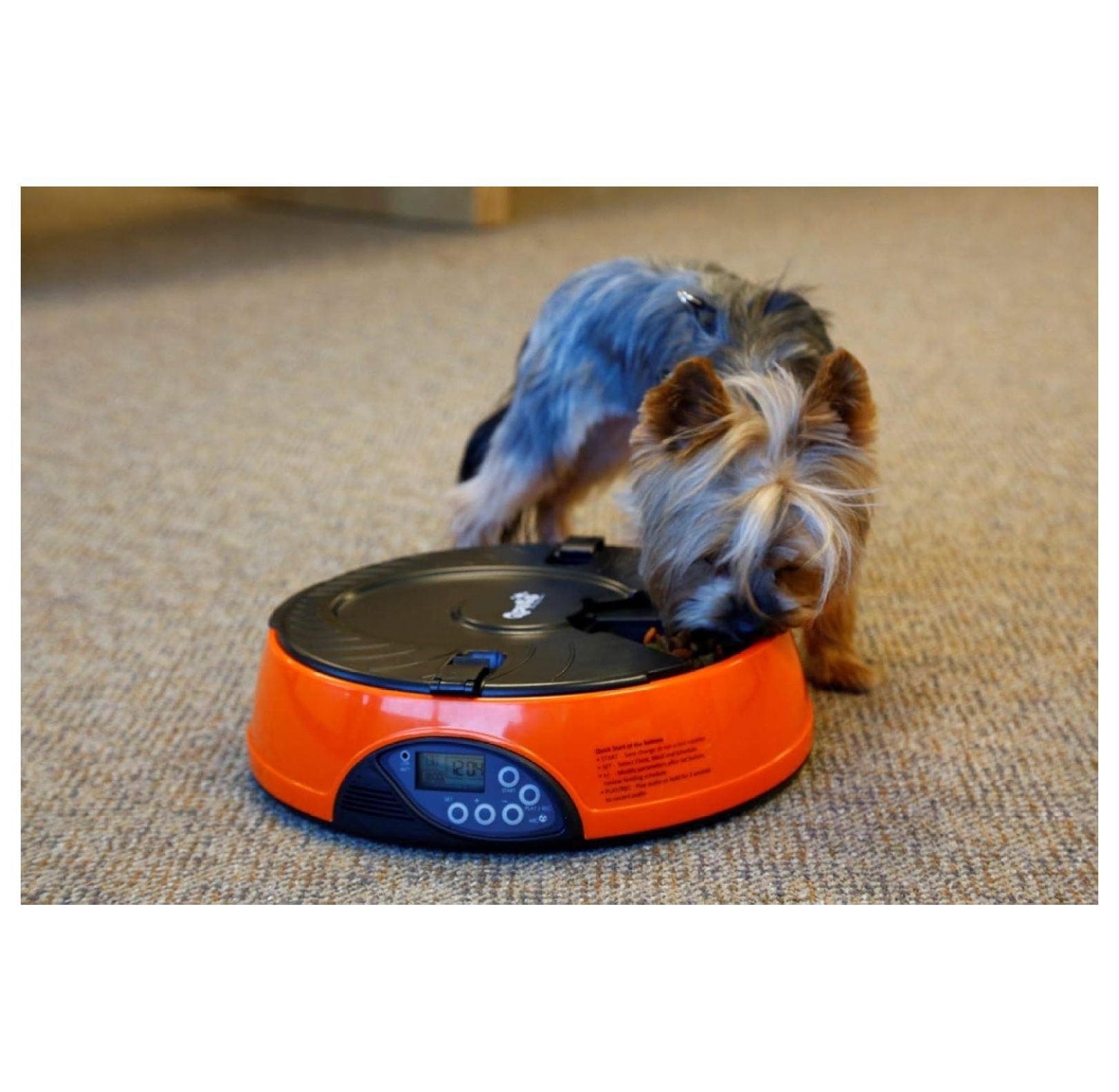 XYX AF 108 Plus Programmable Automatic Pet Feeder for Dog, Cat & Other Small Pet