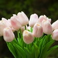 thumbnail image 3 of Enova Home  20 Pieces Artificial Real Touch Tulips Fake Silk Flowers Arrangement in Glass Vase with Faux Water for Home Decor Pink, 3 of 4